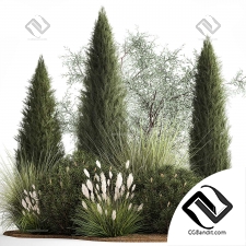 Набор растений 05