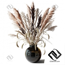 Букет Bouquet of tall dry grass in a black vase
