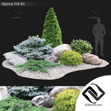 Уличные растения Alpine hill 14