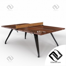 Стол для пинг понга Ping pong table BURNT UMBER