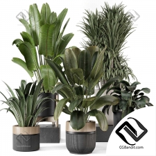 Комнатные растения Ferm Living Bau Pot Large