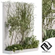 Фитостены Wall Decor