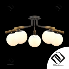 Потолочные светильники Ceiling lamps Freya Paolina FR5011CL-05B