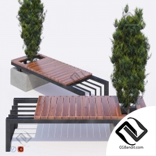 bench with thuja