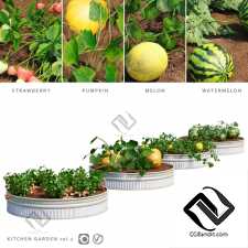 Уличные растения Street plants Kitchen garden 6