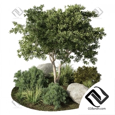 Уличные растения 295