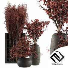 Букеты Red Plants