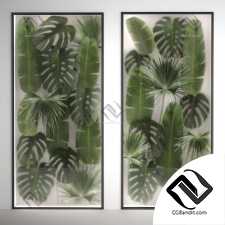 Фитостены 39