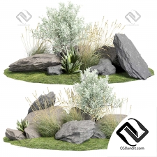 Stones with plants