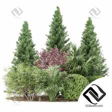 Набор растений 17