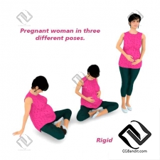 Живые существа Pregnant Woman