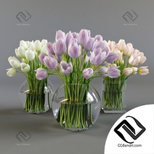 Букеты Bouquet Three vases with tulips
