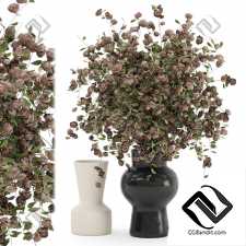 Букеты Collection In Concrete Pots