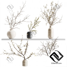 Букет из веток 06