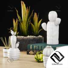 Декоративный набор cactus