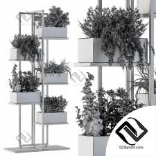 White Box Plants on stand