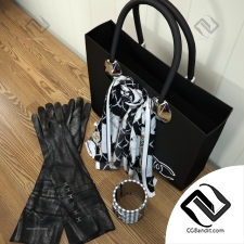 Сумка и аксессуары Chanel bag and accessories