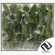 Фитостены 40