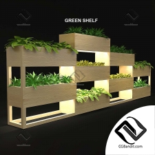 Комнатные растения green shelf