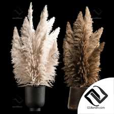 Букеты из сухих камышей 02