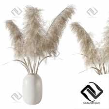 Букет Bouquet Pampas grass