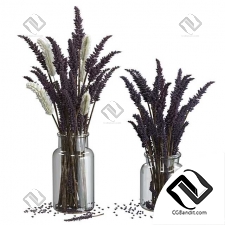 Букеты from lavender and pennisetum