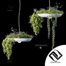 Подвесной светильник plant pot