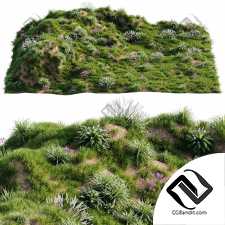 Трава на склоне