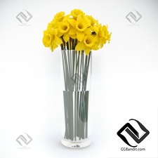 Букет Bouquet Tubular daffodil