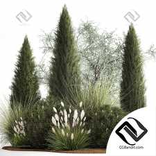 Набор растений 05