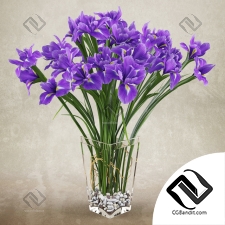 Букет Bouquet Irises
