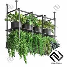 indoor Plant 16