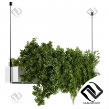 Комнатные растения Hanging box