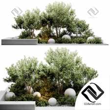 Уличные растения 299