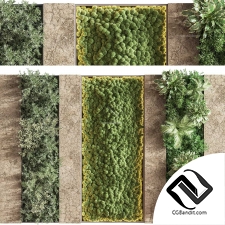 Фитостены Бетон и вертикальный сад