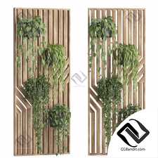 Комнатные растения wooden wall