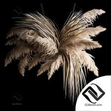 Букеты из сухих камышей и пампасной травы