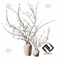 Букеты Dry Branche