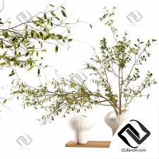 Букеты Plum branch