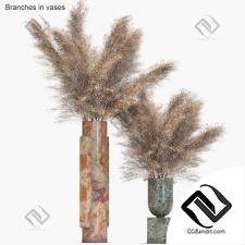 Букеты Branches in vases