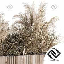 indoor Plant Set 122- Dried Plants in Wood Stand