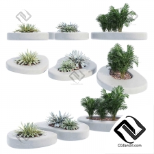 Набор растений 7