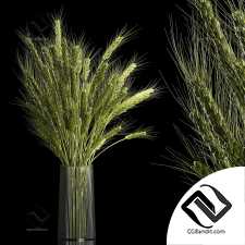 Букеты из веток пшеницы