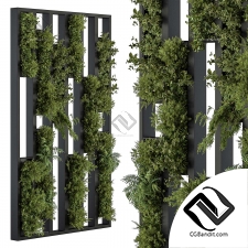 Фитостены 58