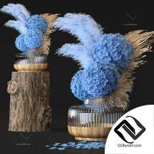 Букеты Hydrangea