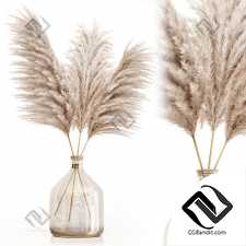 Pampas grass in glass vase 7