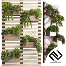 Комнатные растения wooden with plant stand