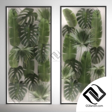 Фитостены 39