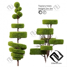 Деревья Topiary