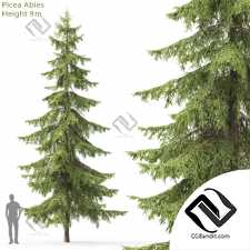 Деревья Trees Spruce 39